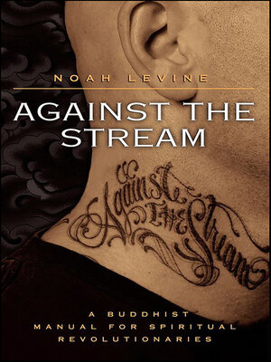 cover image of Against the Stream